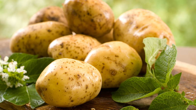 уборка картофеля