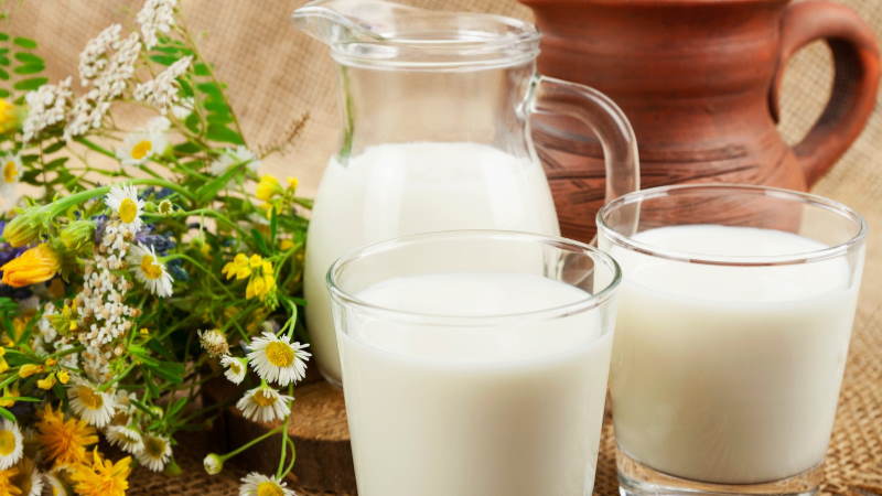 Производство молока в Беларуси выросло на 5,5%