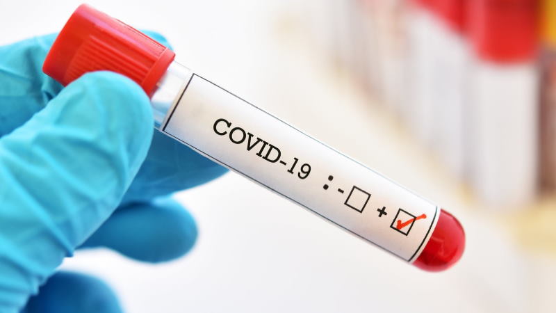 На 23 ноябрь в Беларуси вакцинировано против COVID-19 6635000 граждан